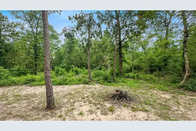 163 Shadywood Drive, Trinity, TX 75862 - Photo 21