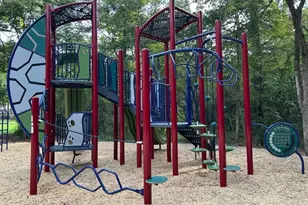 56 N Morningwood Ct, Spring, TX 77380 - Photo 47