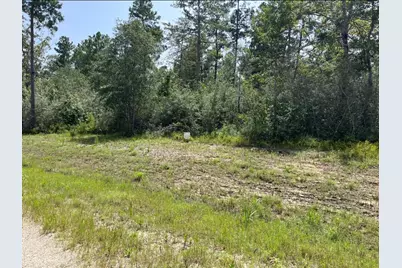 231 Iron Horse Road, New Waverly, TX 77358 - Photo 7