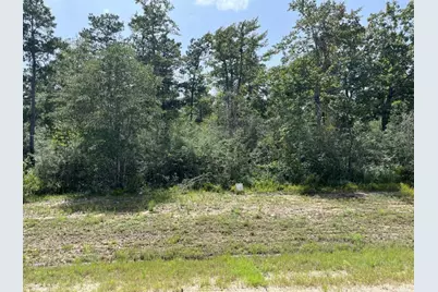 231 Iron Horse Road, New Waverly, TX 77358 - Photo 5