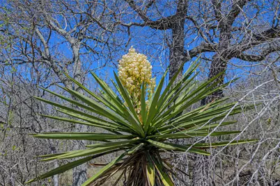5923 Fm 1726, Goliad, TX 77963 - Photo 9