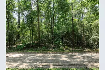 0 Fairway Dr, New Caney, TX 77357 - Photo 1