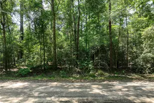0 Fairway Dr, New Caney, TX 77357 - Photo 1