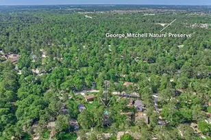 9 Pineash Ct, The Woodlands, TX 77381 - Photo 49