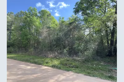 19109 Bedford, New Caney, TX 77357 - Photo 7