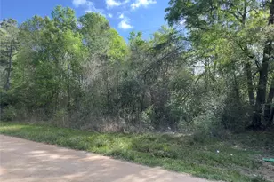 19109 Bedford, New Caney, TX 77357 - Photo 7