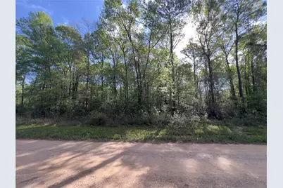 19109 Bedford, New Caney, TX 77357 - Photo 5