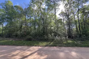 19109 Bedford, New Caney, TX 77357 - Photo 5