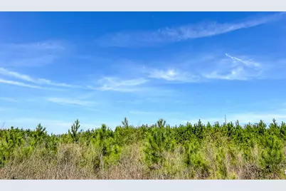 16 County Rd 4415, Spurger, TX 77660 - Photo 5