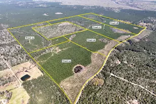 16 Co Rd 4415, Spurger, TX 77660 - Photo 1