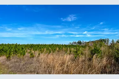 16 County Rd 4415, Spurger, TX 77660 - Photo 9