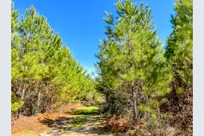 16 County Rd 4415, Spurger, TX 77660 - Photo 11