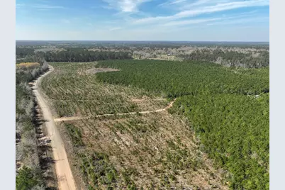 16 County Rd 4415, Spurger, TX 77660 - Photo 3