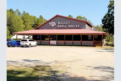 94 Gov Bell Drive, Point Blank, TX 77364 - Photo 35