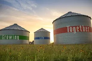 3230 Key Lime Dr, Richmond, TX 77406 - Photo 21