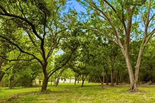 8414 Schiro Rd, Hitchcock, TX 77563 - Photo 37