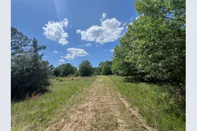 0011 Cr 218 Road, Anderson, TX 77830 - Photo 3
