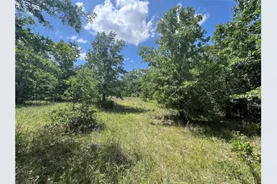 0011 Cr 218 Road, Anderson, TX 77830 - Photo 9