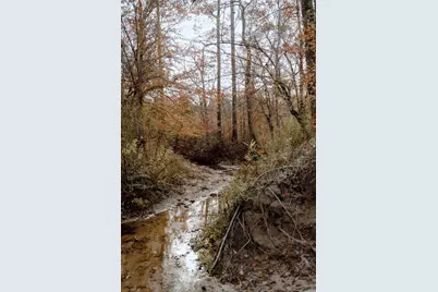 13608 Fm 692, Burkeville, TX 75932 - Photo 5