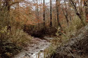 13608 Fm 692, Burkeville, TX 75932 - Photo 5