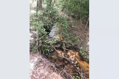 60 Pr 1315, Centerville, TX 75833 - Photo 29