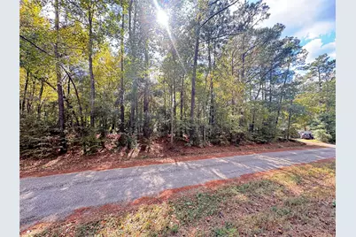 Tbd Love Drive, Cleveland, TX 77327 - Photo 1