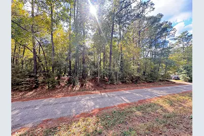 Tbd Love Drive, Cleveland, TX 77327 - Photo 1