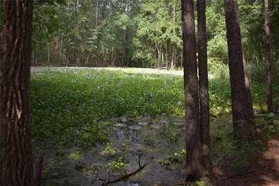 00 Garrett Road, Conroe, TX 77306 - Photo 17