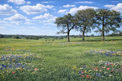 00 W Cr 315 E, Buffalo, TX 75831 - Photo 7