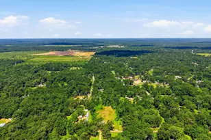 672 County Rd 3317, Cleveland, TX 77327 - Photo 31
