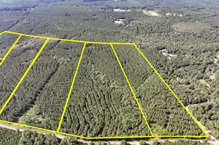 1 County Road 1325, Warren, TX 77664 - Photo 1