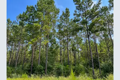 1 County Road 1325, Warren, TX 77664 - Photo 9