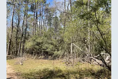 404 Possum Park Rd Road, Houston, TX 77338 - Photo 3