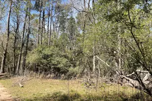 404 Possum Park Rd Rd, Houston, TX 77338 - Photo 3