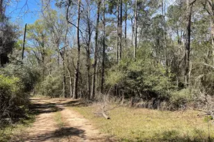 404 Possum Park Rd Rd, Houston, TX 77338 - Photo 1