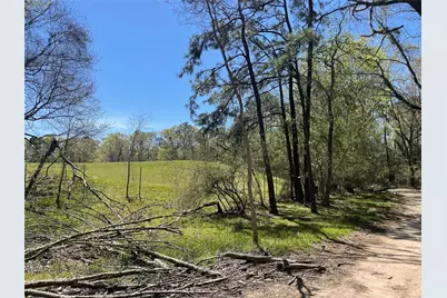 404 Possum Park Rd Road, Houston, TX 77338 - Photo 7