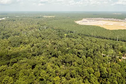 0 Lt 24 Rolling Hill Oaks, Porter, TX 77365 - Photo 7