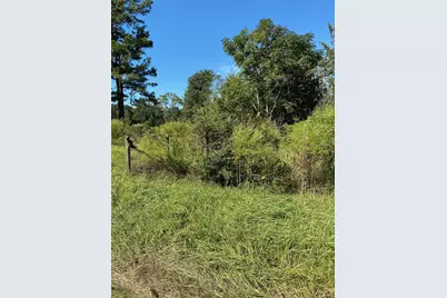 6225 County Road 2252, Cleveland, TX 77327 - Photo 3
