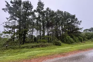 235 Co Rd 1820, Liberty, TX 77575 - Photo 1