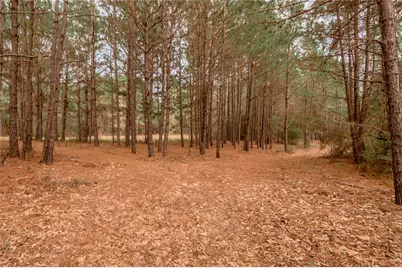 14254 Cr 2080, Crockett, TX 75835 - Photo 9