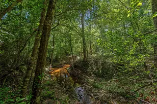 111 Heritage Oak Dr, Huntsville, TX 77320 - Photo 49