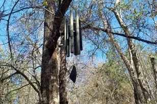 755 Evangeline Dr, Vidor, TX 77662 - Photo 13