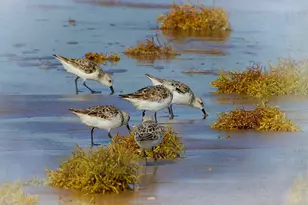 1191 County Rd 230, Sargent, TX 77414 - Photo 15