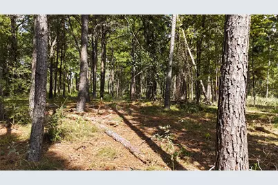 Tbd Cherokee Trail, Lovelady, TX 77851 - Photo 3