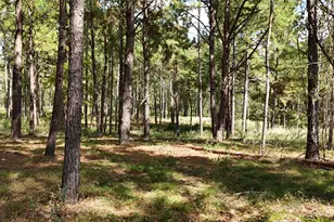 Tbd Cherokee Trail, Lovelady, TX 77851 - Photo 1