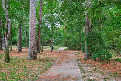 1519 Lofty Maple Trail, Houston, TX 77345 - Photo 49