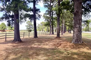 8415 Sunset Loch Dr, Spring, TX 77379 - Photo 21