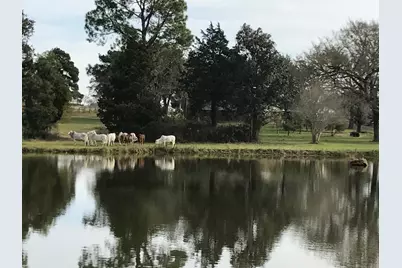 00002 Nelson Road, Hempstead, TX 77445 - Photo 13