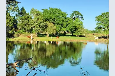 00002 Nelson Road, Hempstead, TX 77445 - Photo 19