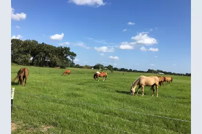 00002 Nelson Road, Hempstead, TX 77445 - Photo 15